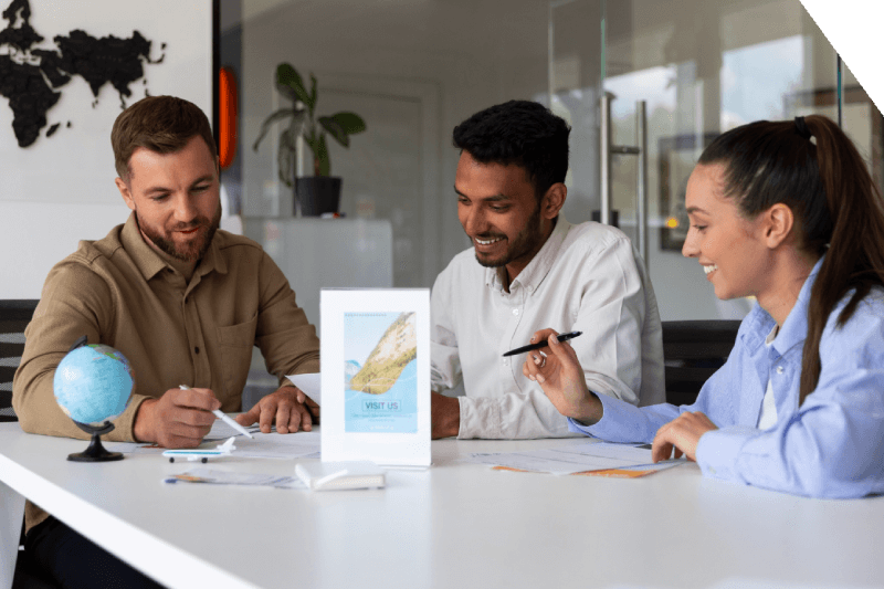 Partner (Provisional) Visa